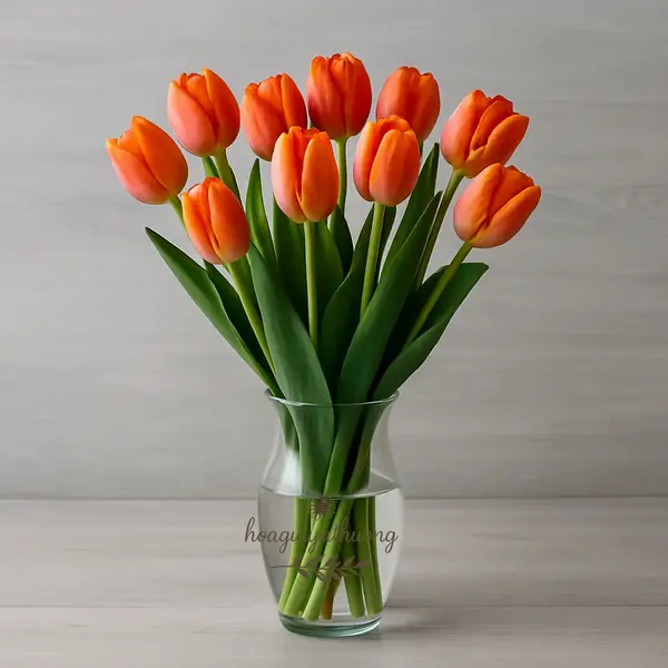 Bình hoa tulip cam – mẫu hoa sinh nhật đẹp năm 2025 mang phong cách tối giản